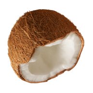 coconut head